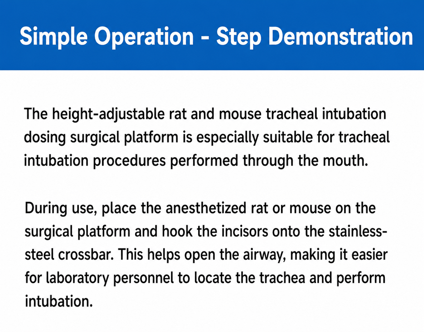 Mouse/Rat endotracheal Incubation workstation