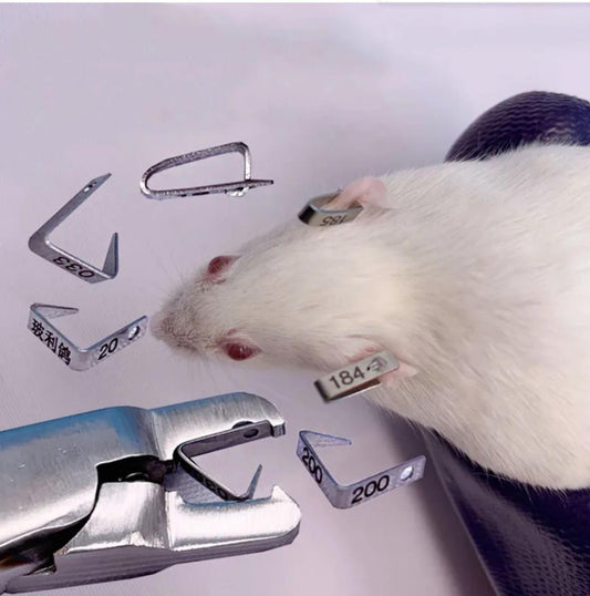 Rat Mice Hamster Mouse Metal Ear Tag