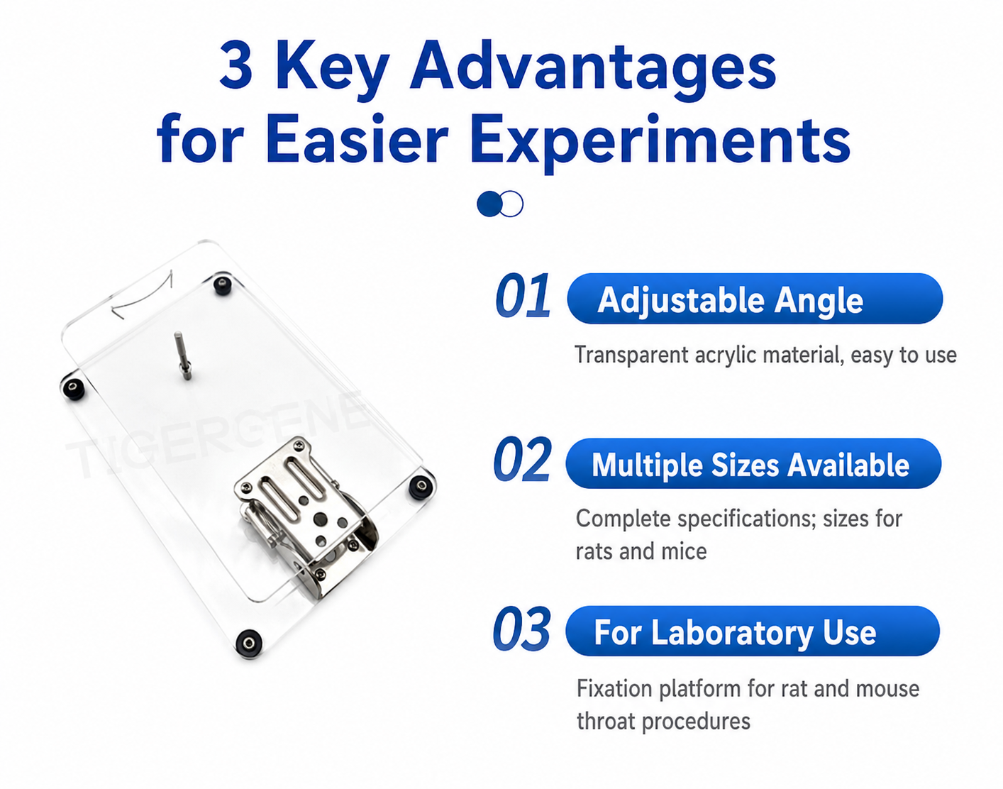Mouse/Rat endotracheal Incubation workstation