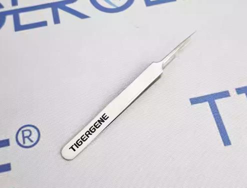 Tigergene Ultra-Fine Tweezers for Small Animals