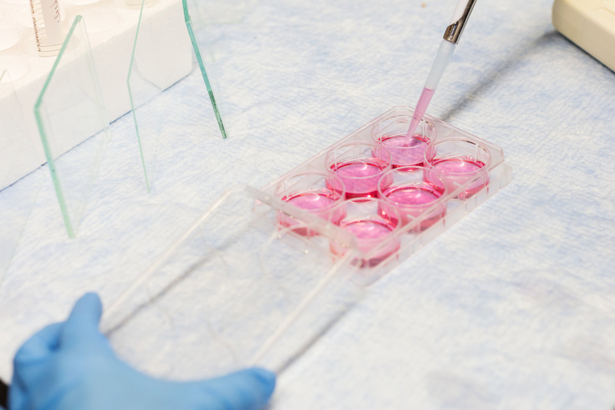 Life Science Research Tools Supplier---Tigergene Technology – Tigergene ...