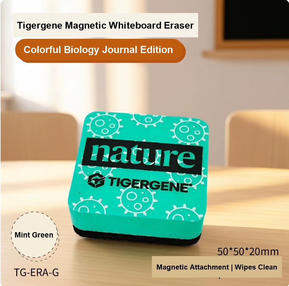 High Density Magnetic Whiteboards Eraser