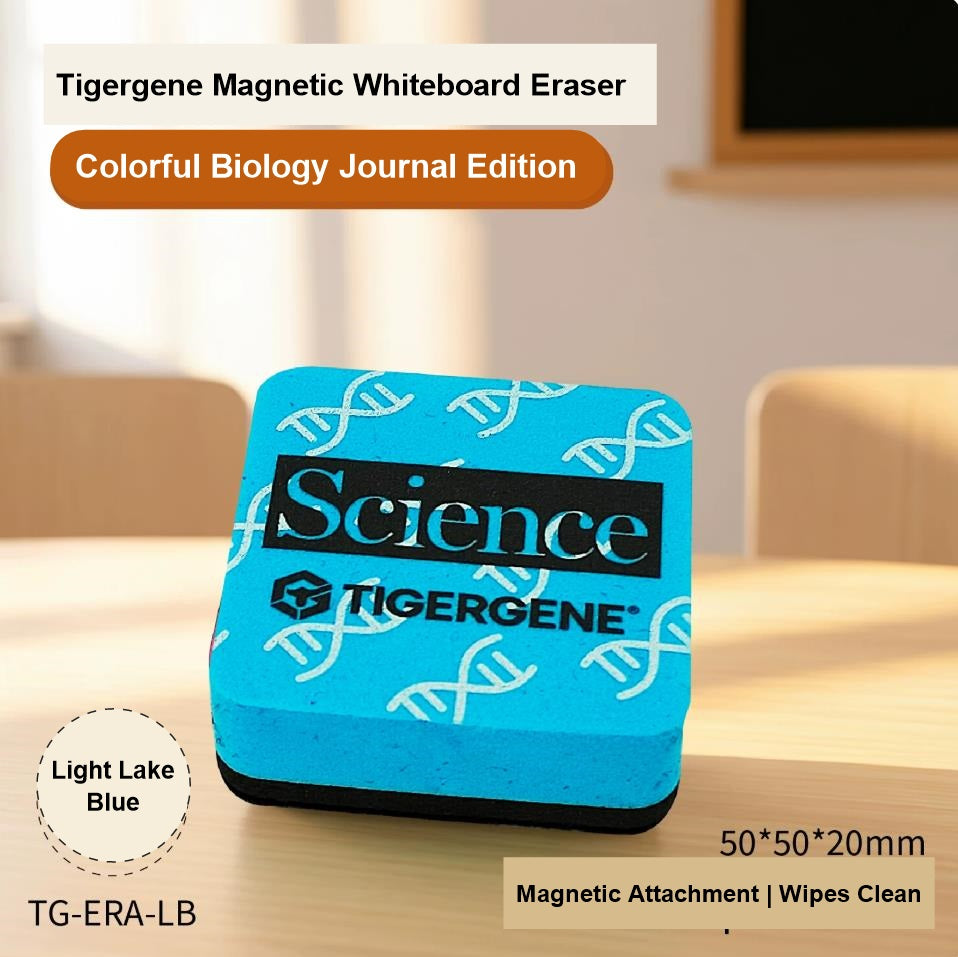 High Density Magnetic Whiteboards Eraser