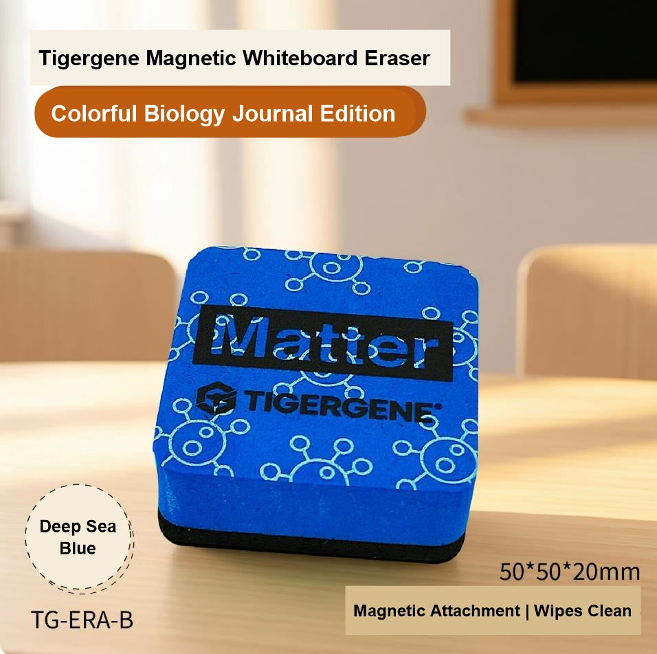 High Density Magnetic Whiteboards Eraser