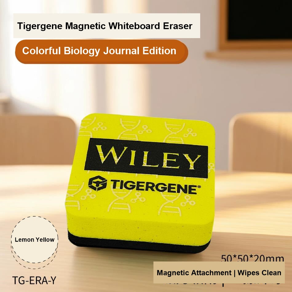 High Density Magnetic Whiteboards Eraser