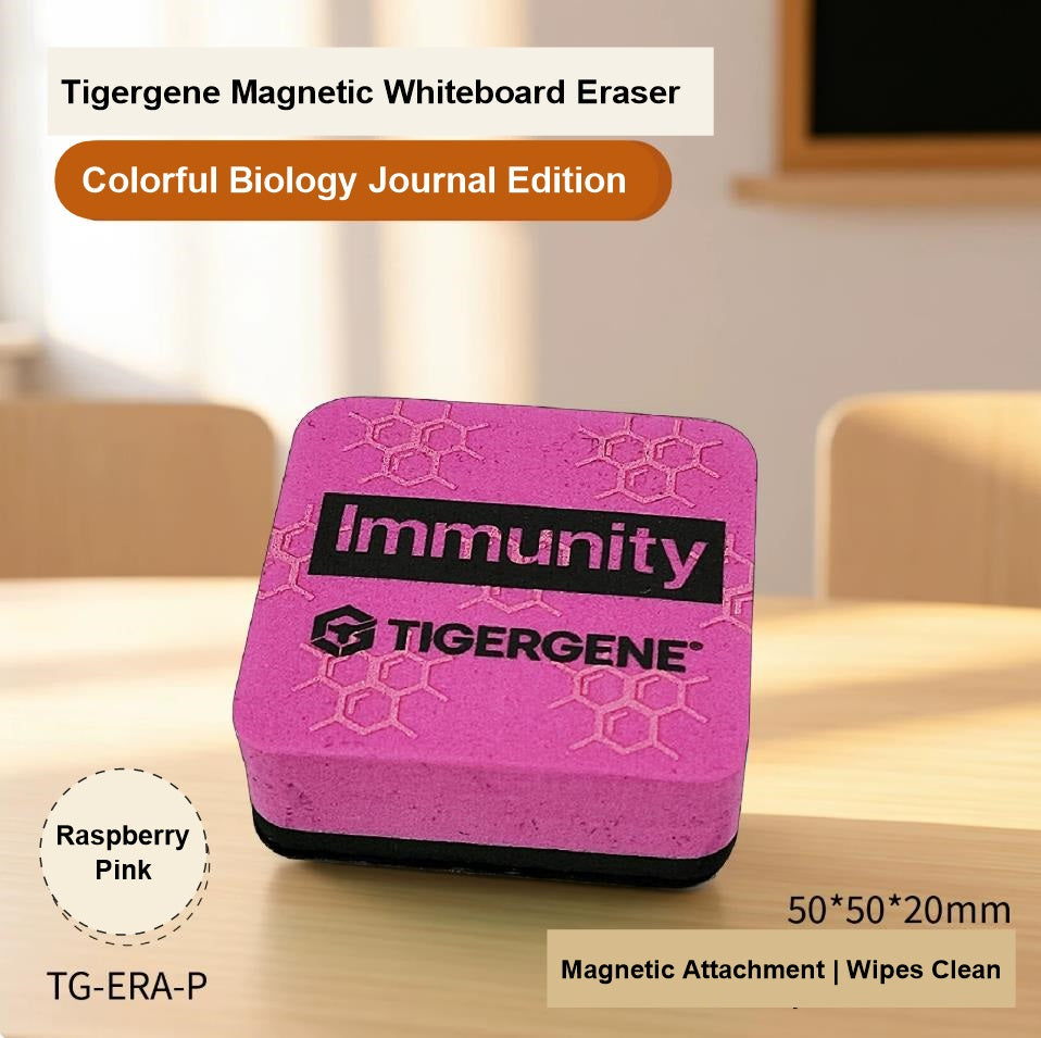 High Density Magnetic Whiteboards Eraser