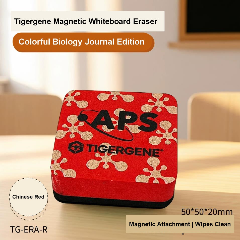 High Density Magnetic Whiteboards Eraser