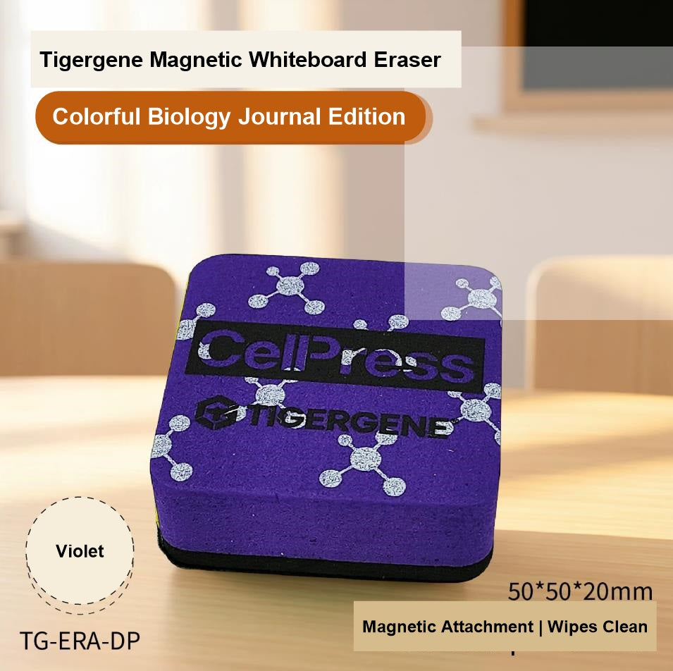 High Density Magnetic Whiteboards Eraser